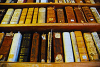 Bookshelf full of books